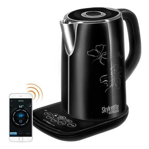 Умный чайник Redmond SkyKettle M170S-E Black в Кей